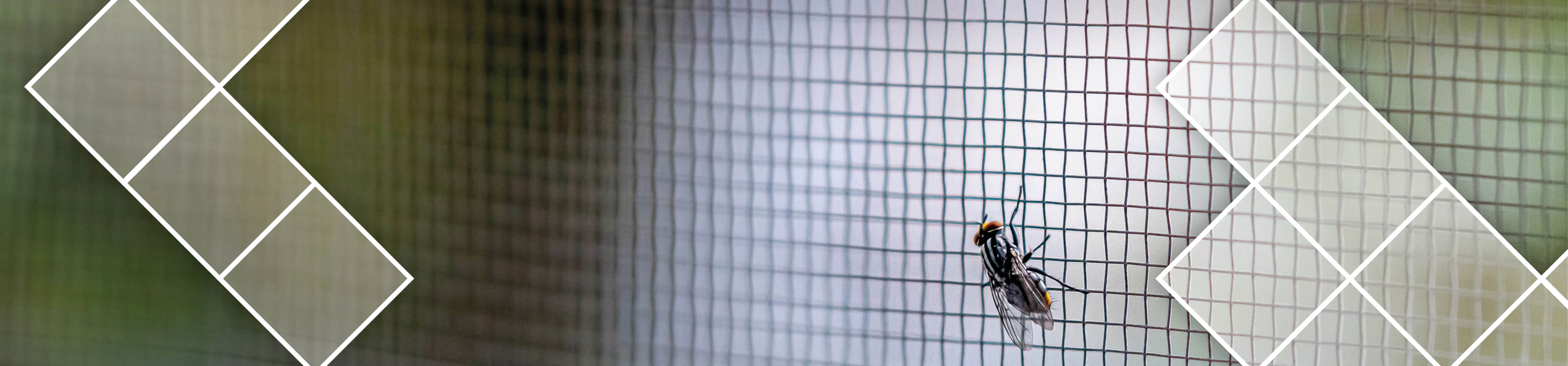 Anti Insect Netting