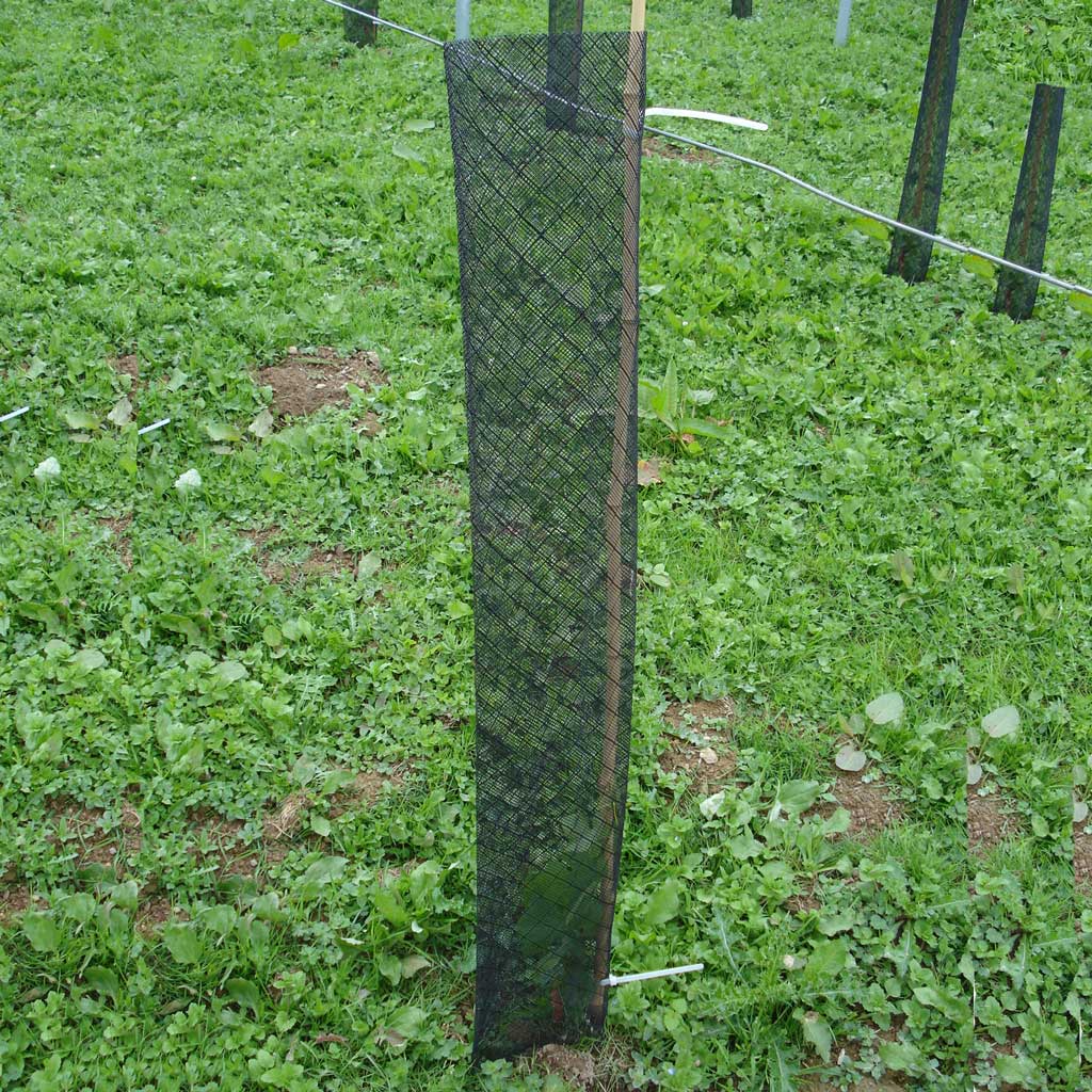 Climatic Tree Guard