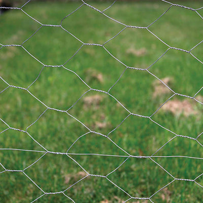 50mm Galvanised Wire Net 0.6m x 10m