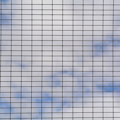 13mm PVC Coated Weld Mesh 0.6m x 6m