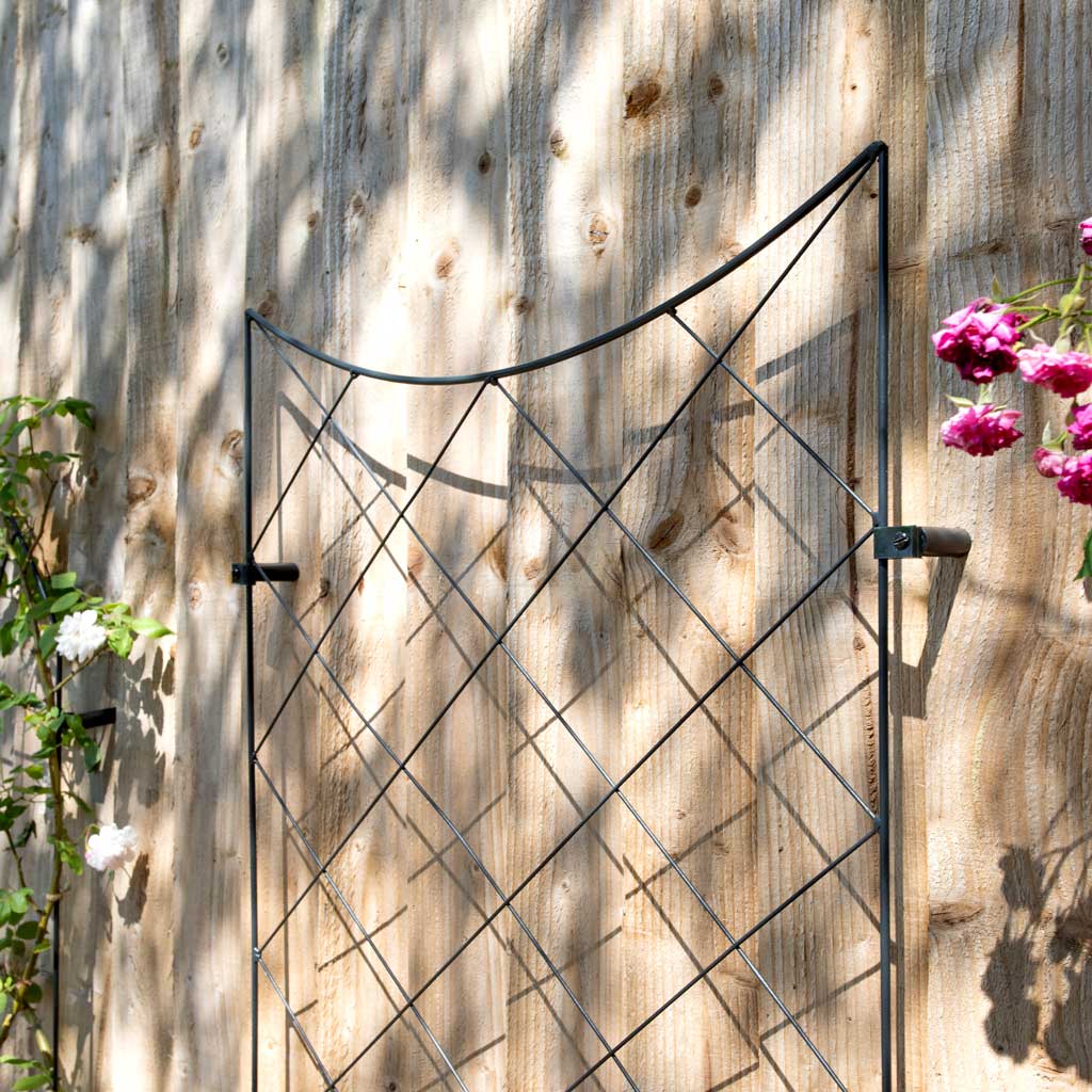 Crescent Wall Trellis