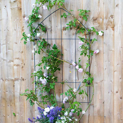 Gothic Wall Trellis
