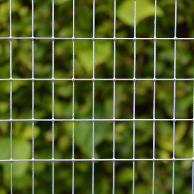 25mm x 13mm Galvanised Weld Net 0.9m x 6m