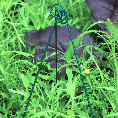 Just Stakes H51cm