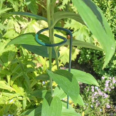 Single Stem Support H91cm x W7cm - (4)