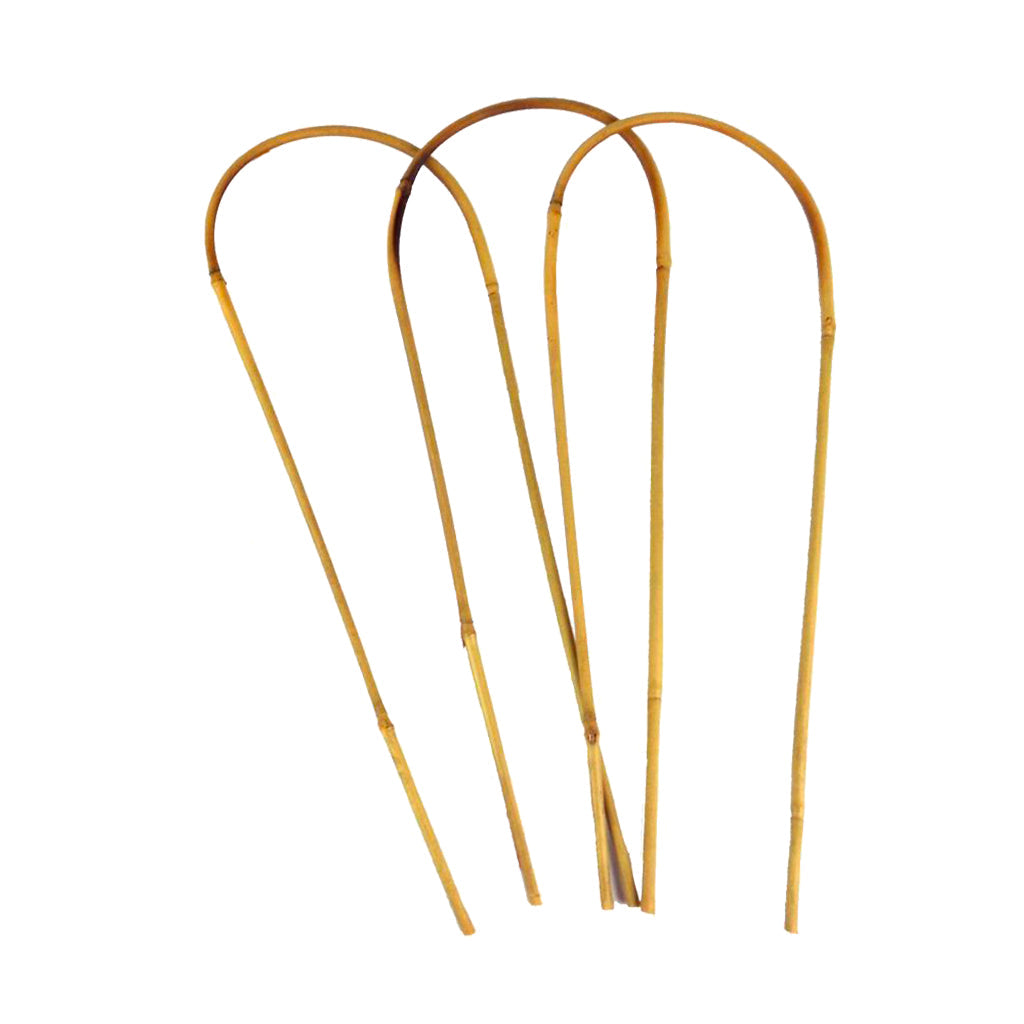 Bamboo Loop Support 600mm - (3)