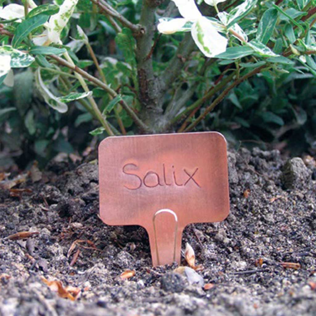 Copper T Labels - (10)