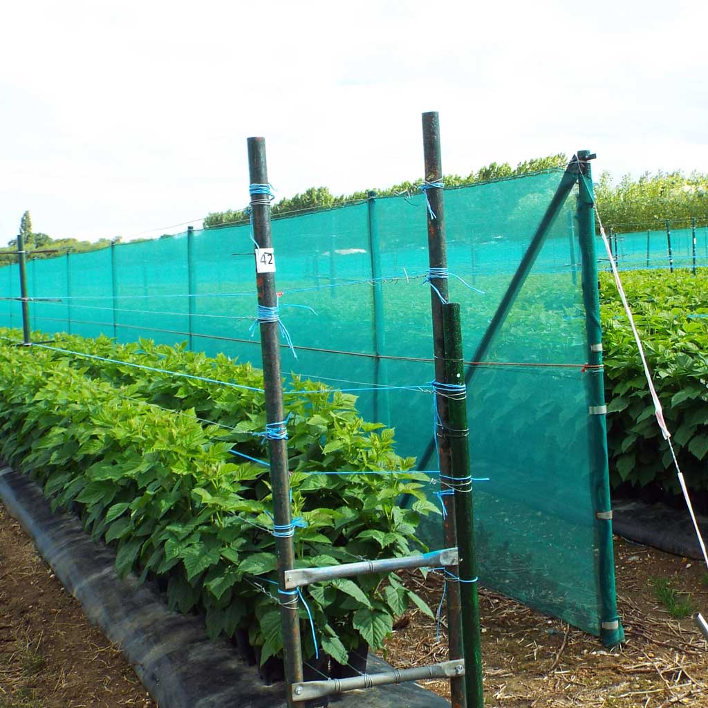 Loktex 47% shade netting