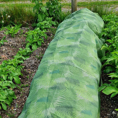 Green Fern Fleece Blanket