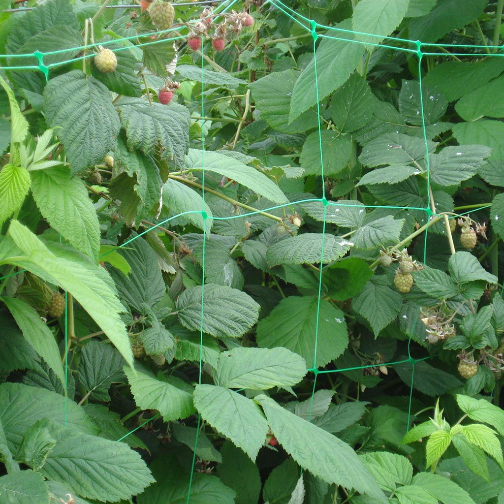 Extruded Plant Support Netting