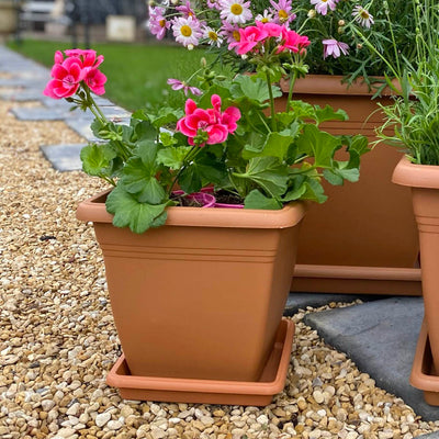 Square Pot Terracotta 210 x 197mm