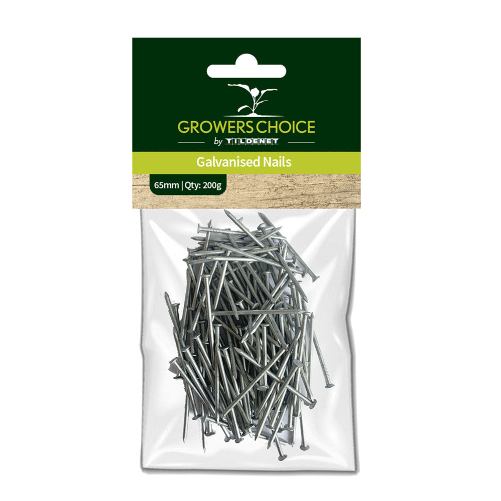 Galvanised Nails 65mm