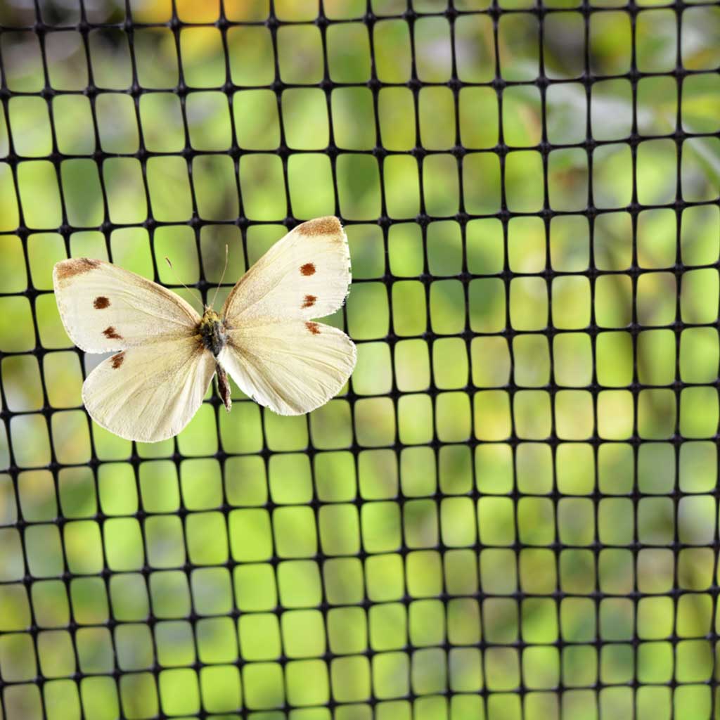 Anti Butterfly netting 4m x 150m Black - BULK