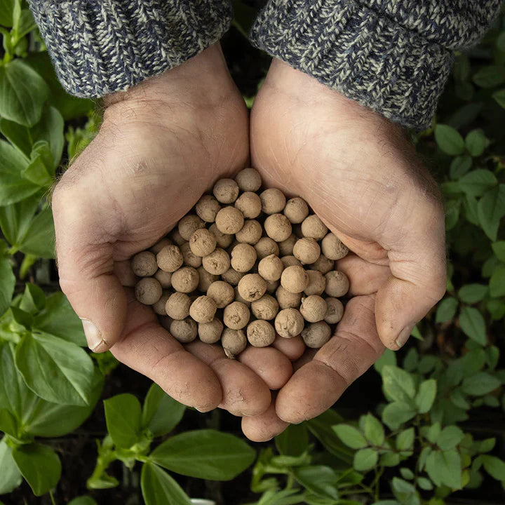 Wildflower Seedballs Wildlife Mix