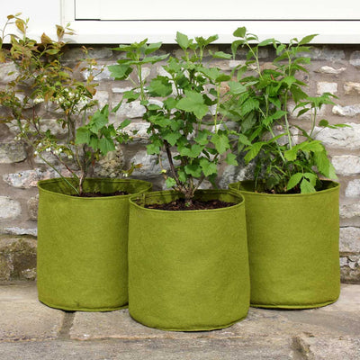 Vigoroot Pots 20L - (3)