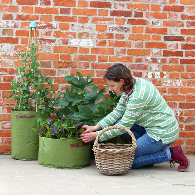 Vegetable Patio Planter - (3)