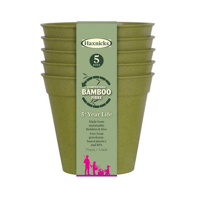 Bamboo Pot Sage Green 3" - (5)