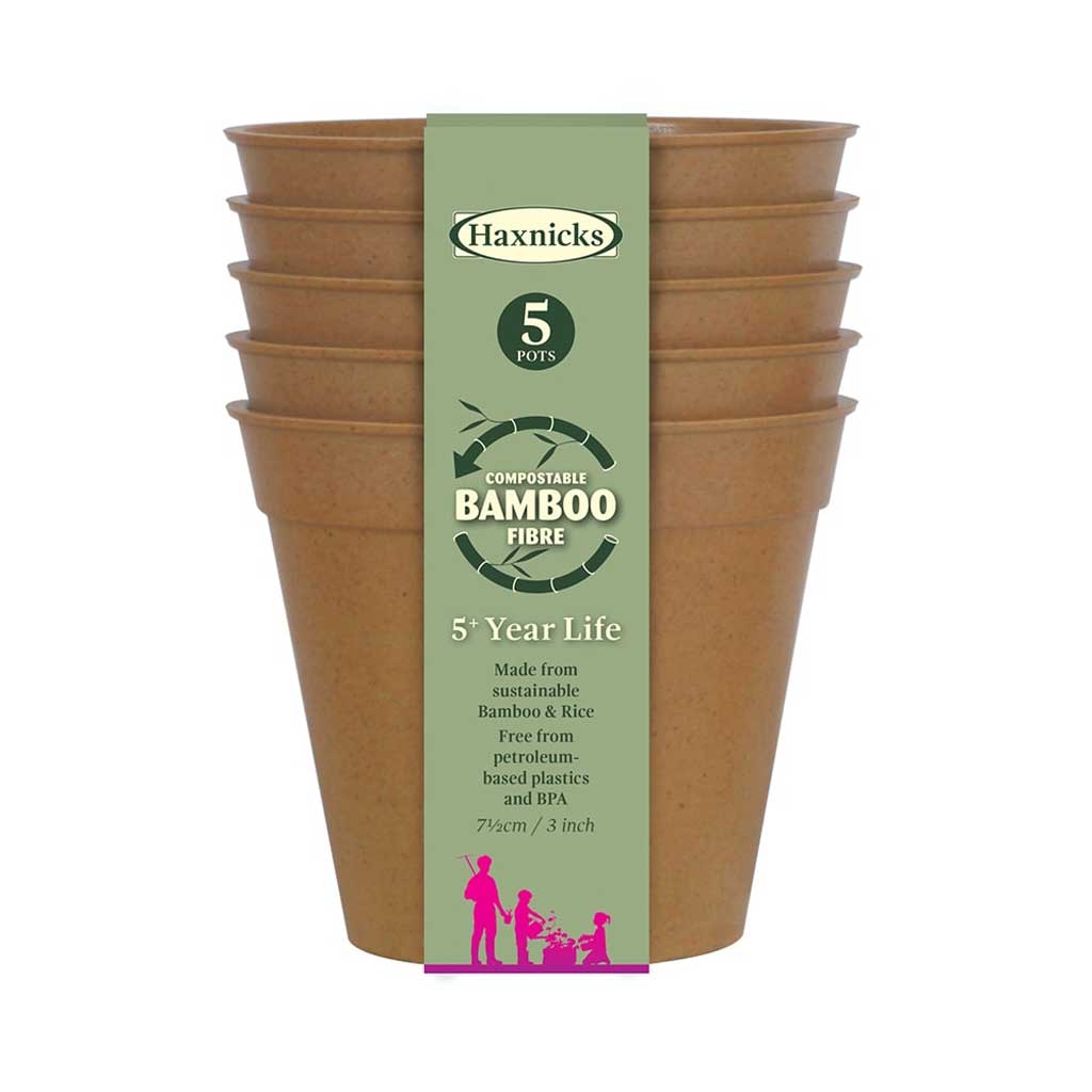 Bamboo Pot Terracotta 3" - (5)