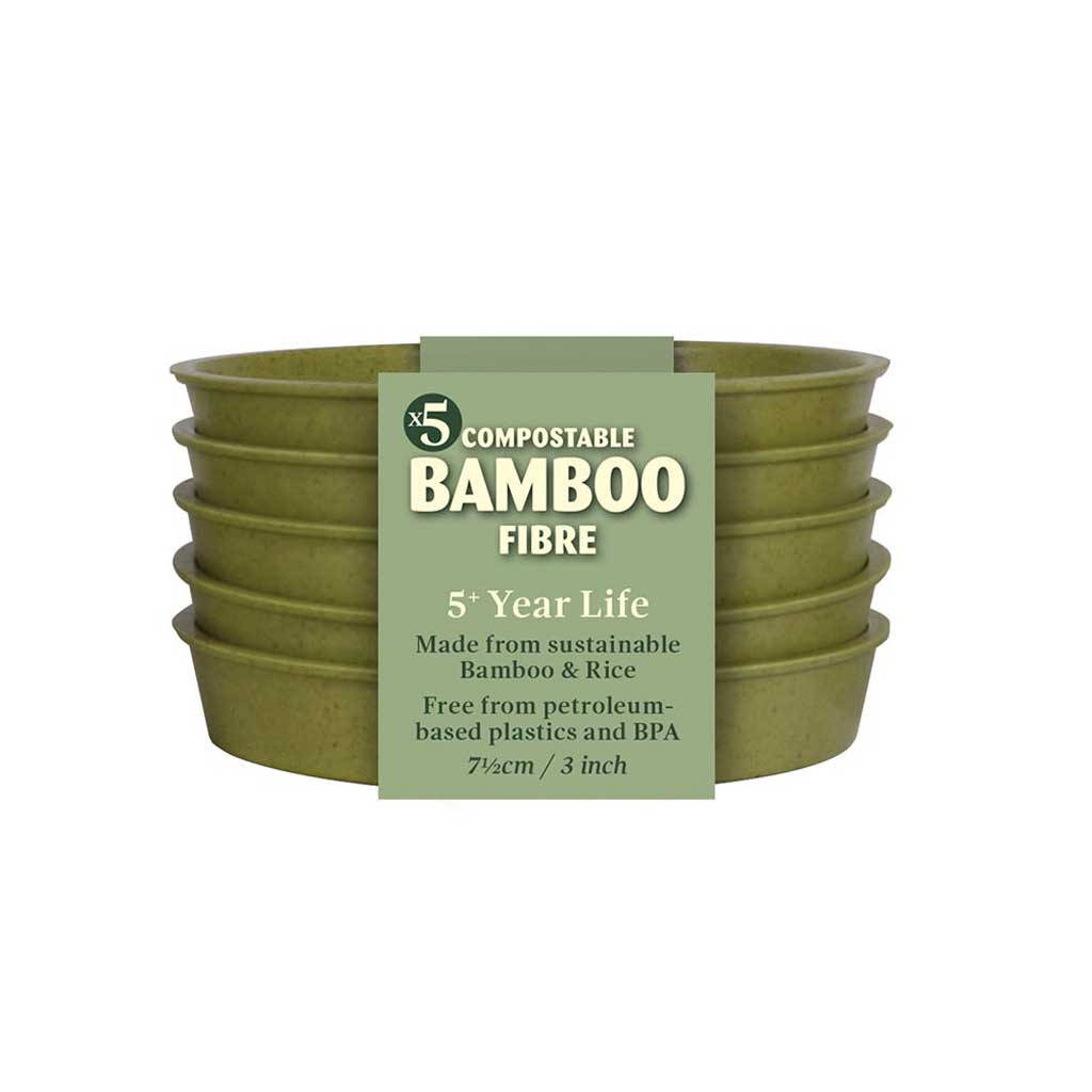 Bamboo Saucer Sage Green 3" - (5)