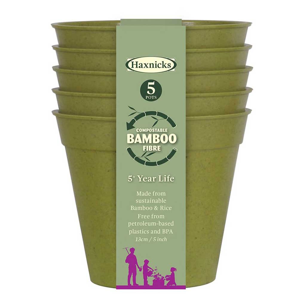 Bamboo Pot Sage Green 5" - (5)