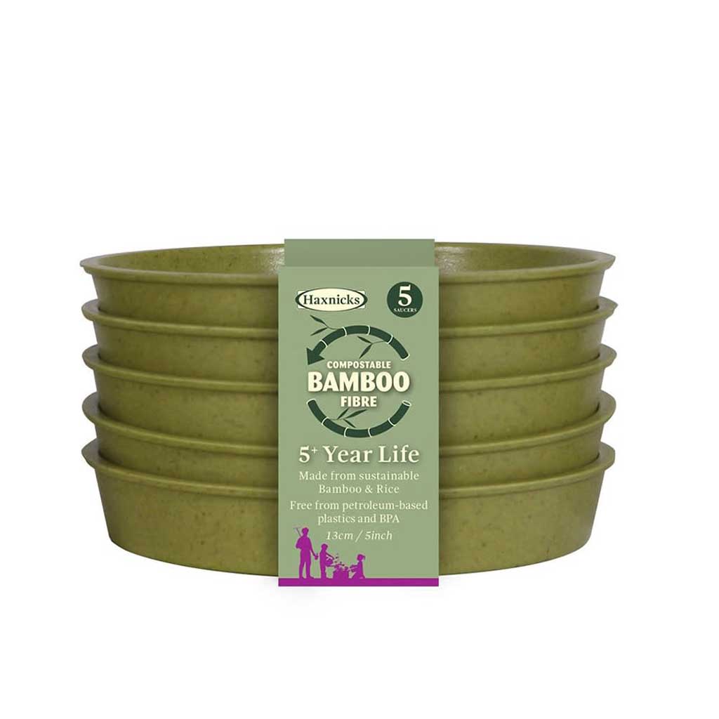 Bamboo Saucer Sage Green 5" - (5)