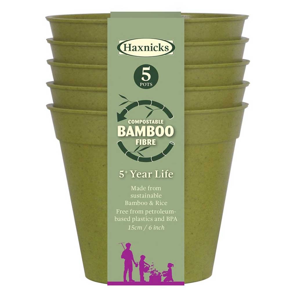 Bamboo Pot Sage Green 6" - (5)