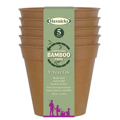 Bamboo Pot Terracotta 6" - (5)