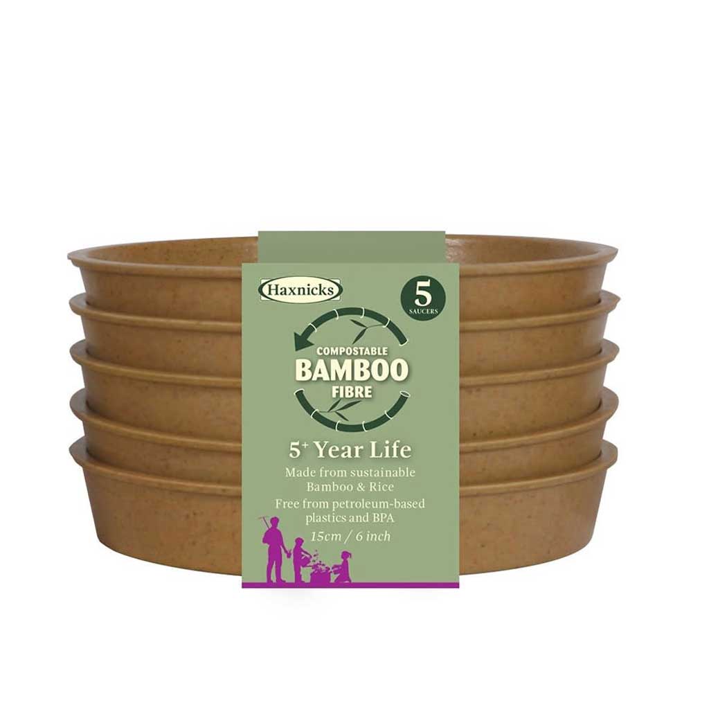 Bamboo Saucer Terracotta 6" - (5)