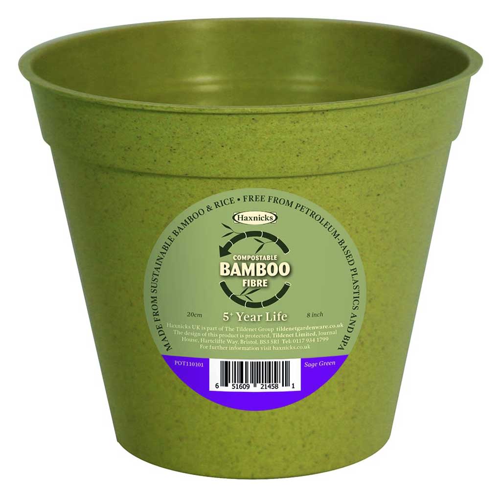 Bamboo Pot Sage Green 8" - (5)