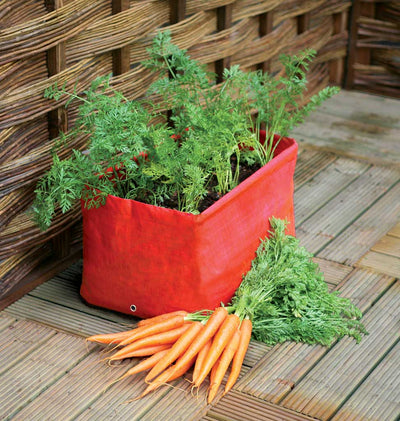 Carrot Patio Planter L45cm x W30cm x H30cm