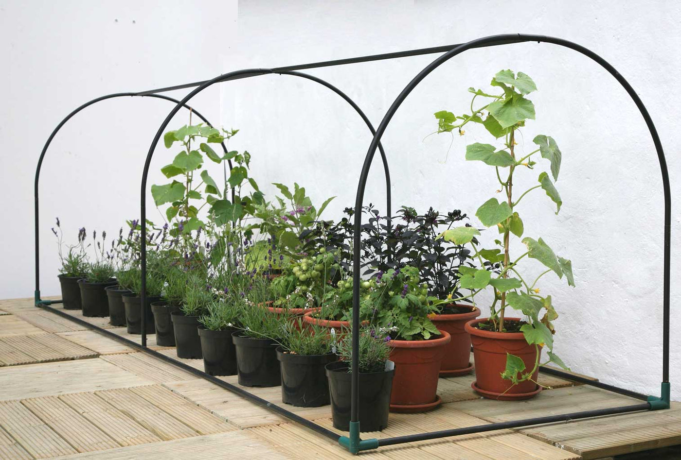 Compact Grower Frame L1.5m x W1m x H1m