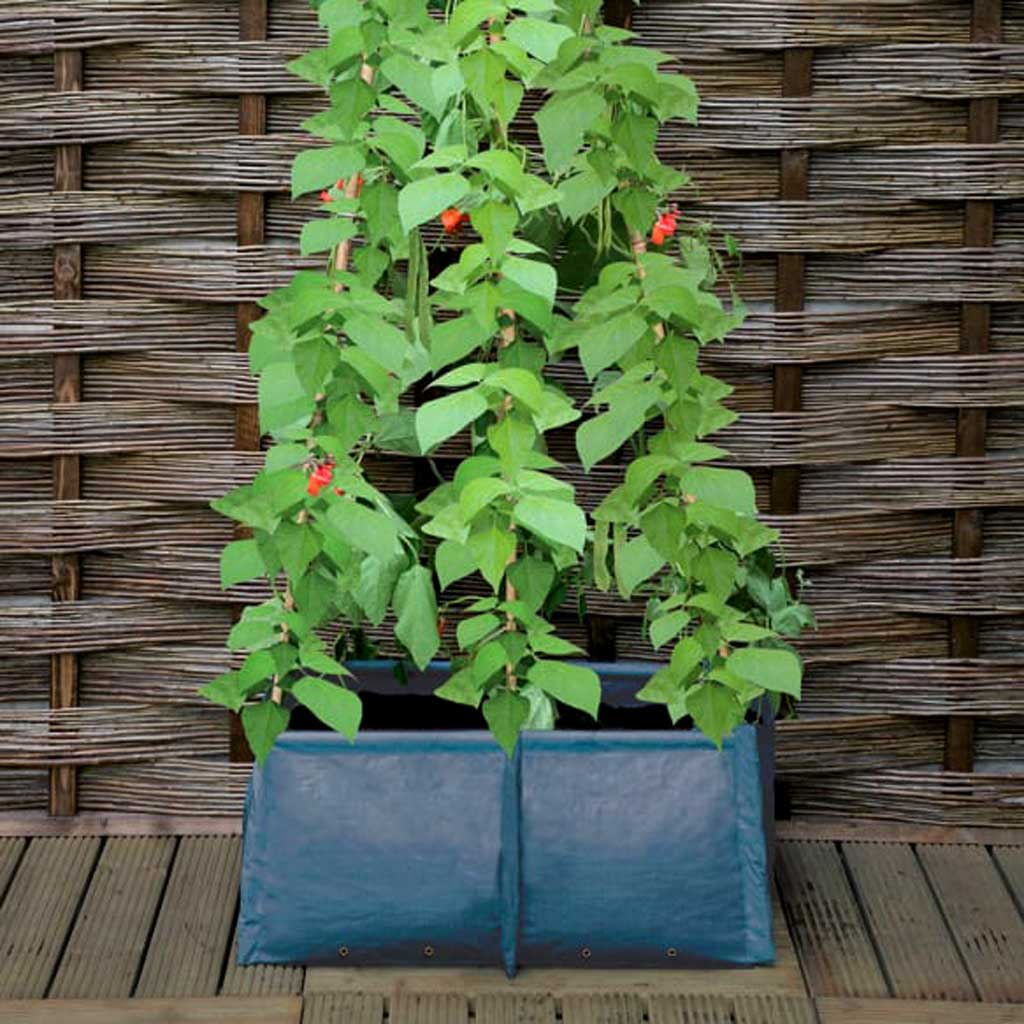 Pea & Bean Patio Planter L60cm x D30cm x W30cm