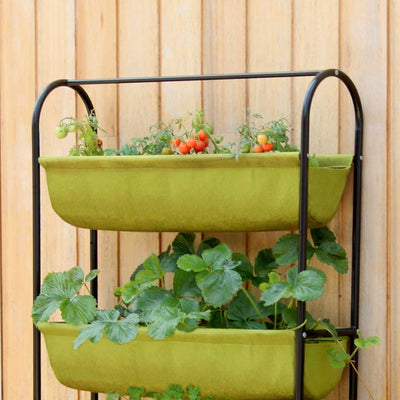 Vigoroot Balcony Garden