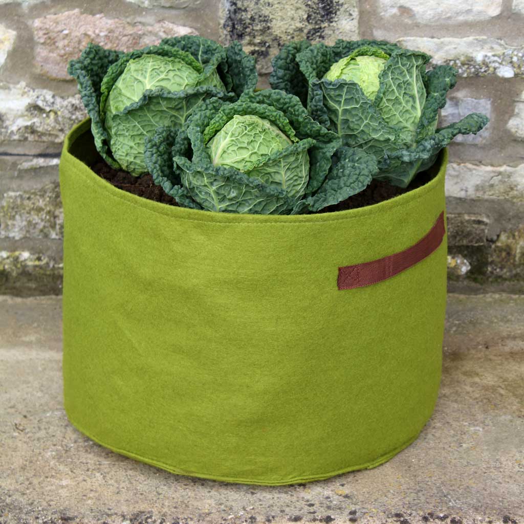 Vigoroot Vegetable Planter