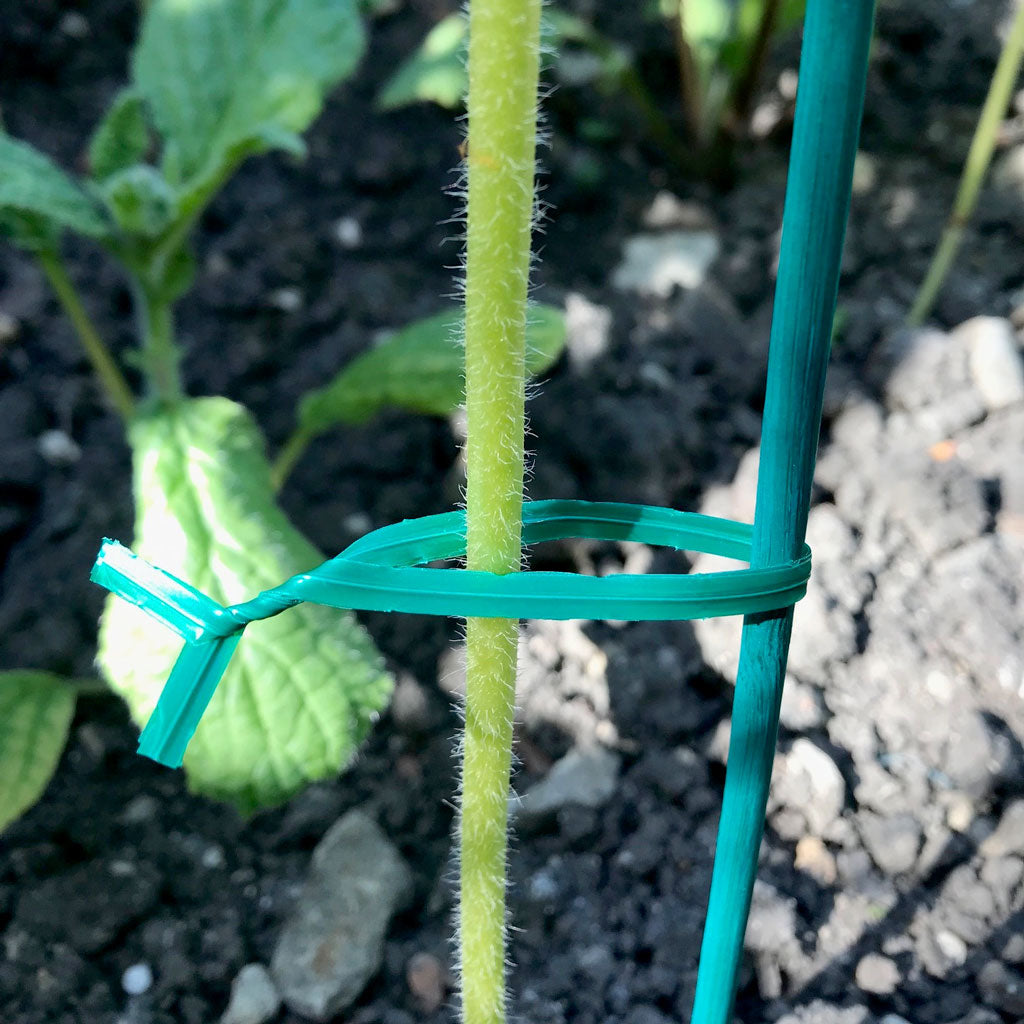 Plant Twists 4" 3mm x 100mm
