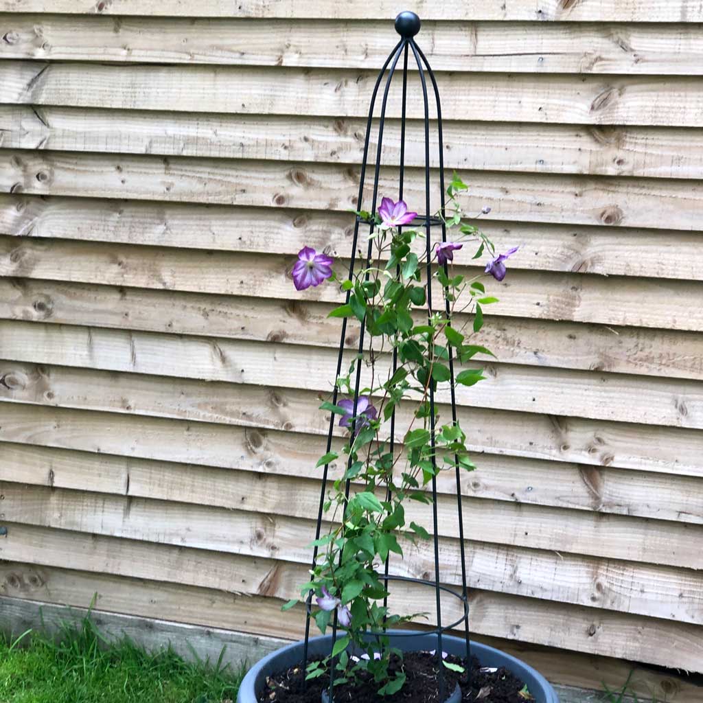 Queen Obelisk Classic 1.2m