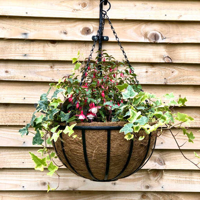 Cambridge Premium Hanging Basket with Coco Liner 16" 40cm