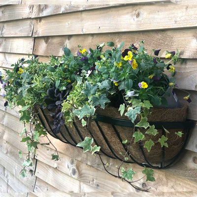 Oxford Deluxe Wall Trough with Coco Liner 36" 90cm
