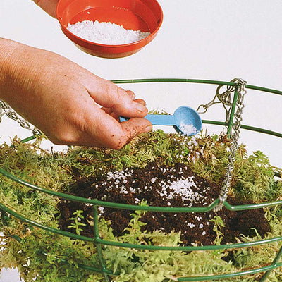 Moss Bag Size 3 (For 3 x 12" Baskets)