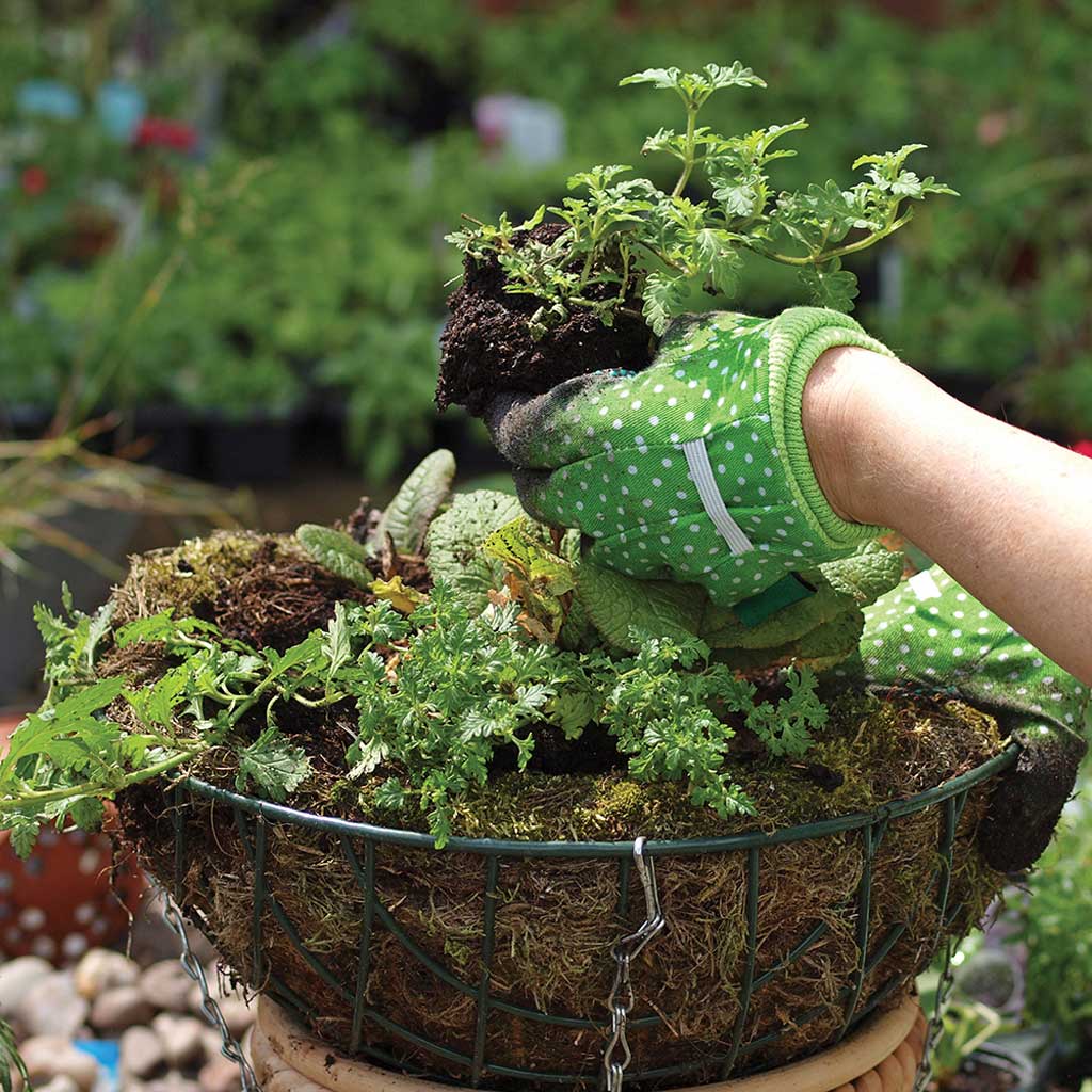 Moss Bag Size 3 (For 3 x 12" Baskets)