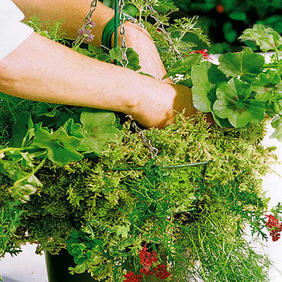 Bulk Moss Bag (For 10 x 12" Baskets)
