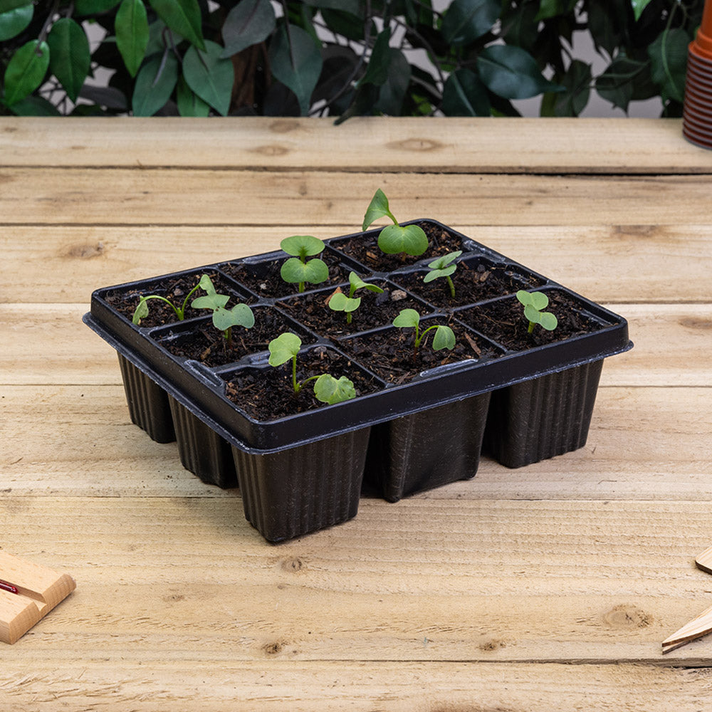 Modular Inserts 6 x 9 (54 cell)