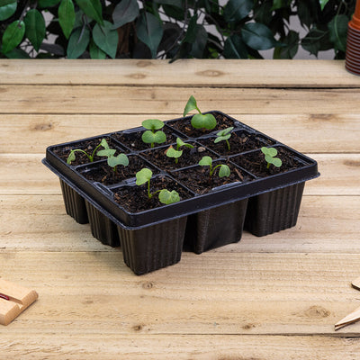 Modular Inserts 6 x 9 (54 cell)