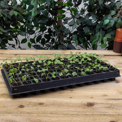 84 cell Plug Tray - (2)