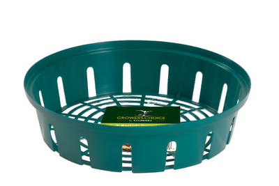 Bulb Baskets Round Small 26cm - (3)