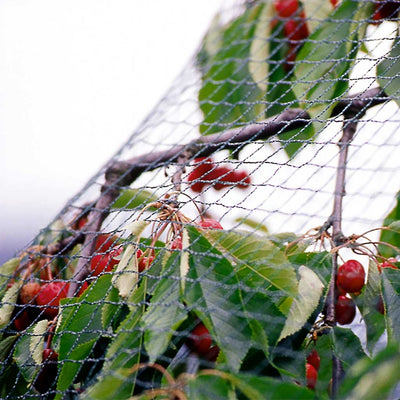 Economy Bird Net 2m x 100m - BULK