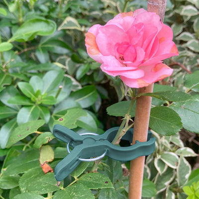 Plant Support Spring Clips Large 78mm - Own Brand