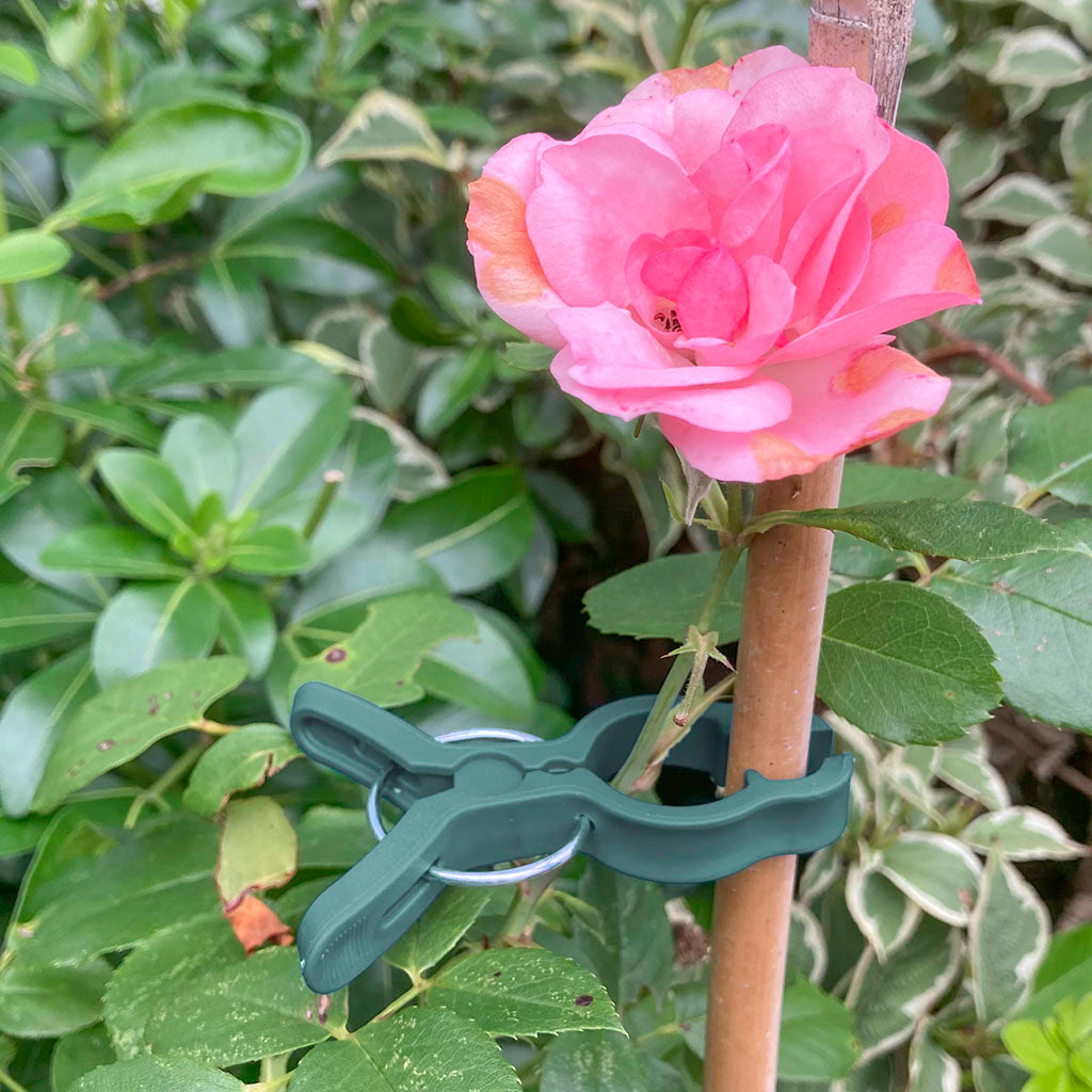 Plant Support Spring Clips Large 78mm
