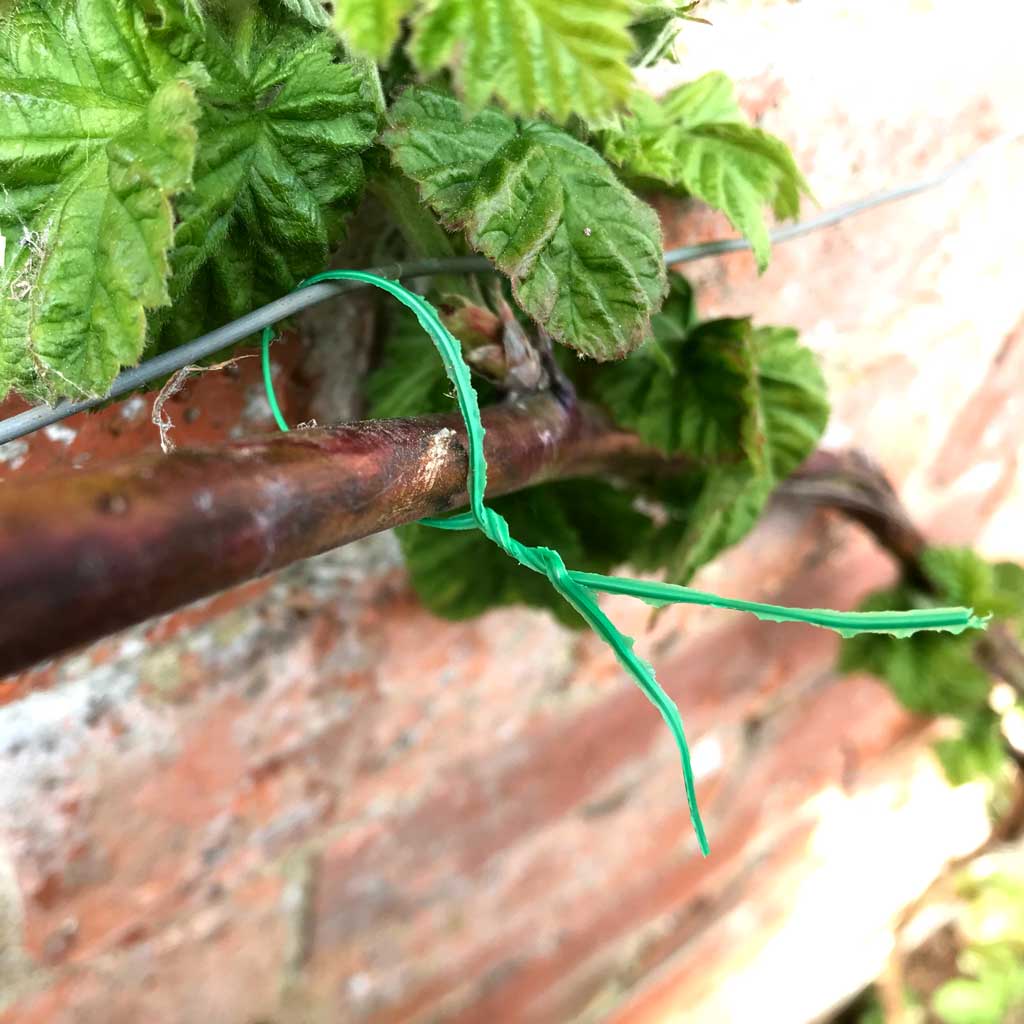Snip & Twist Wire Dispenser 2mm x 50m - Own Brand