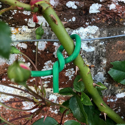 Soft Ties 3mm x 8m